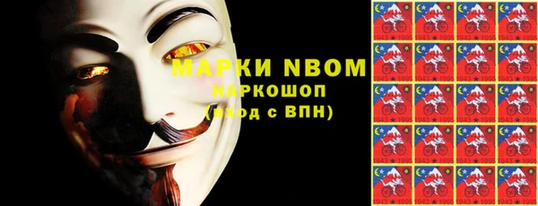 шишки Арсеньев