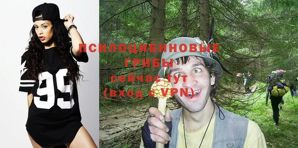шишки Арсеньев