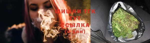 шишки Арсеньев