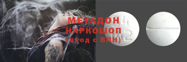шишки Арсеньев