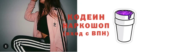 шишки Арсеньев