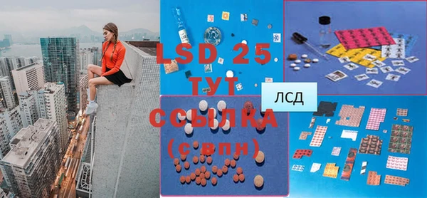 шишки Арсеньев