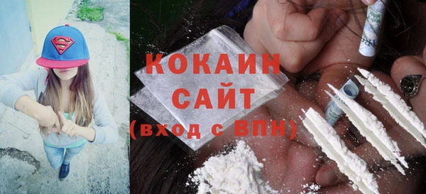 шишки Арсеньев