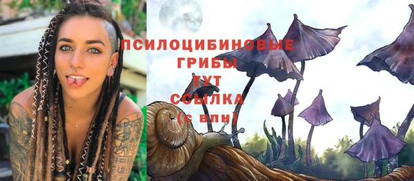 шишки Арсеньев