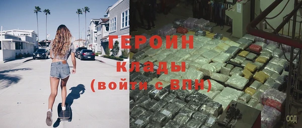 шишки Арсеньев