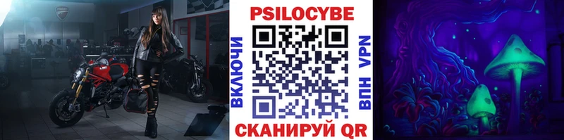Псилоцибиновые грибы мицелий  Купить где  Межгорье 